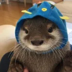 captain