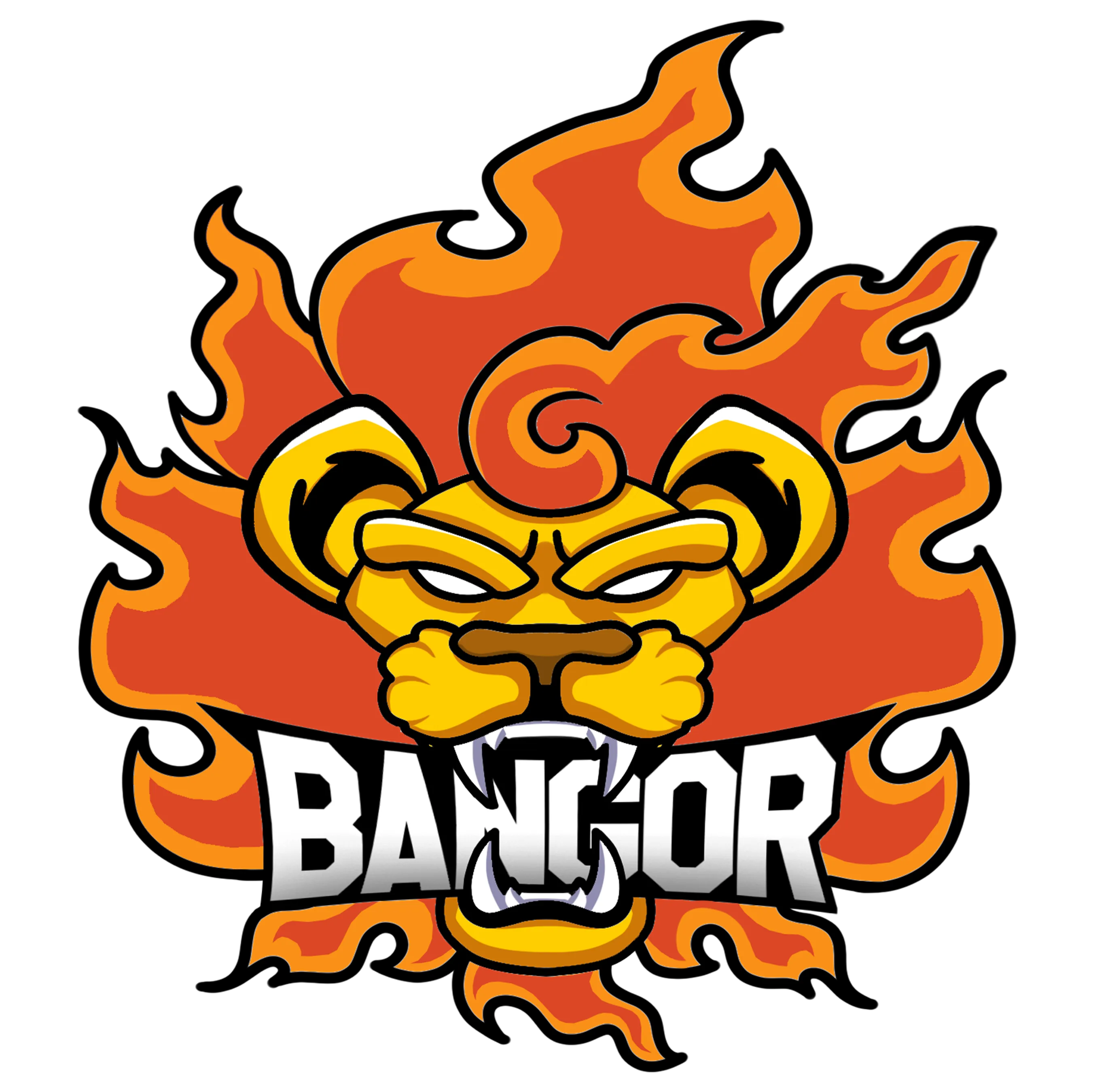 university
