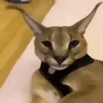 captain