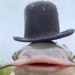 captain